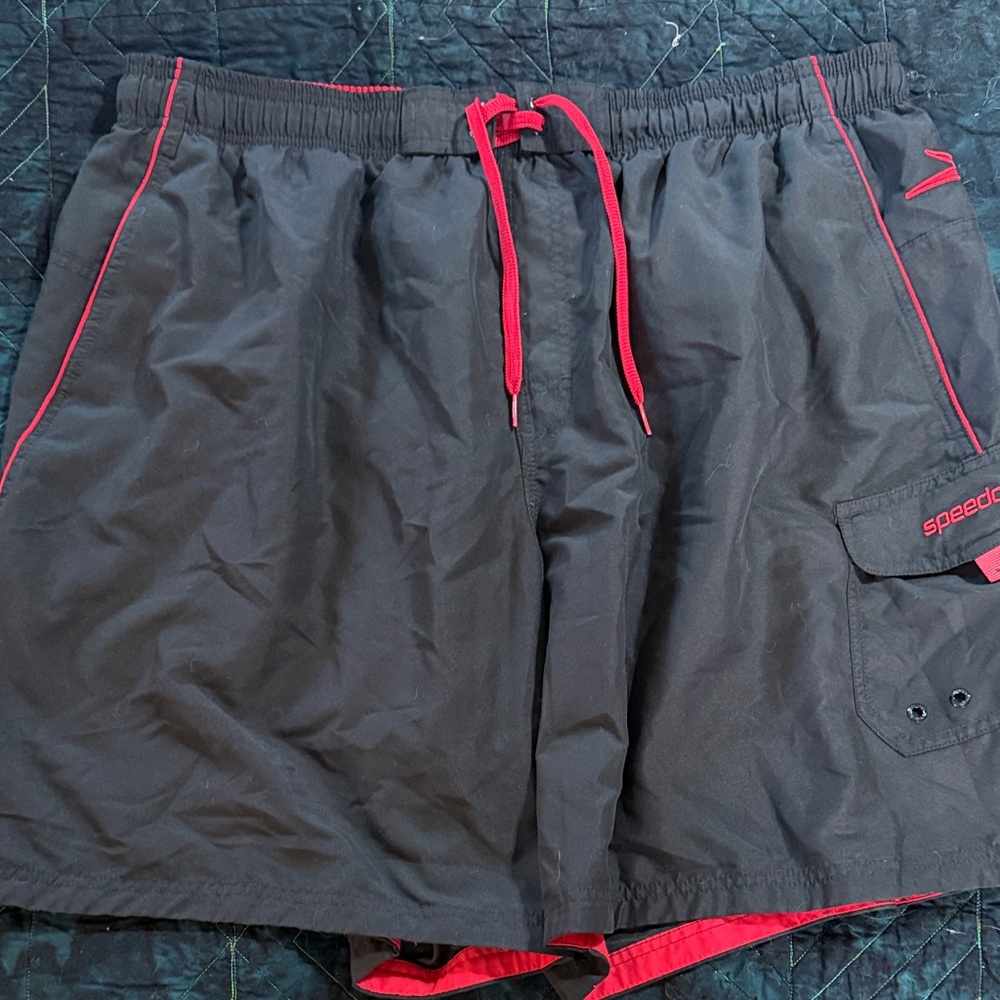 Speedo Charcoal and Crimson Swim Trunks
